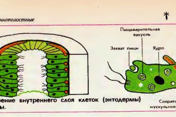 Где найти рабочую ссылку кракен