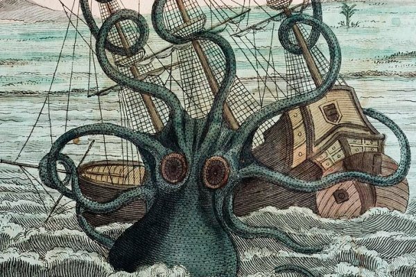 Kraken как найти ссылку