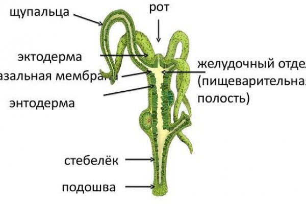 Kraken зеркала маркетплейс