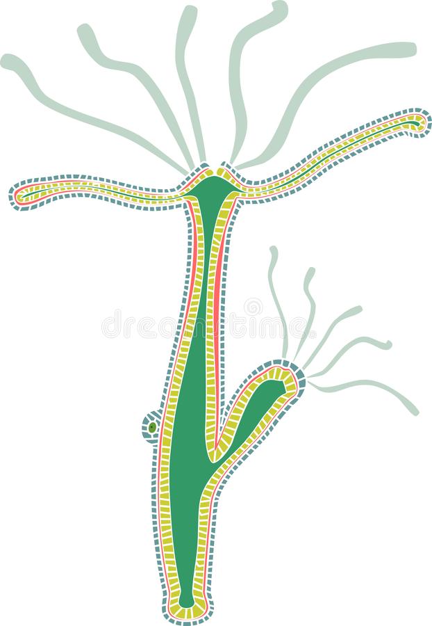 Kraken cc зеркало kr2web in