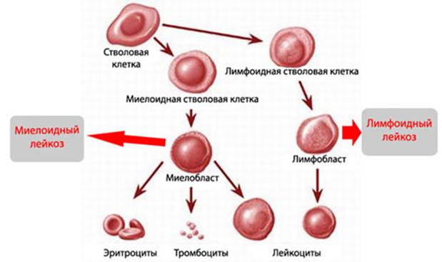 Не могу зайти на кракен