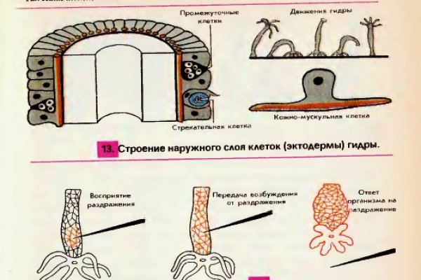 Кракен сайт 2krnk